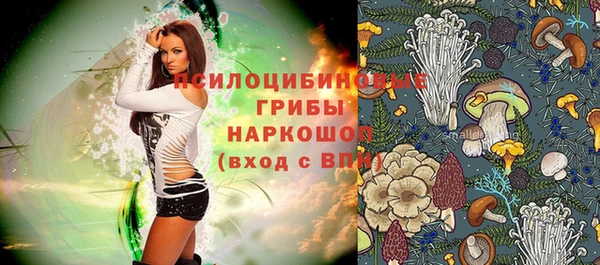 mdpv Медногорск