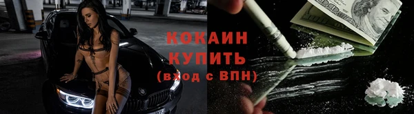 дмт Магас