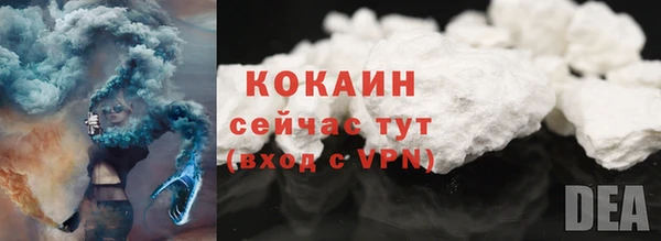 дмт Магас