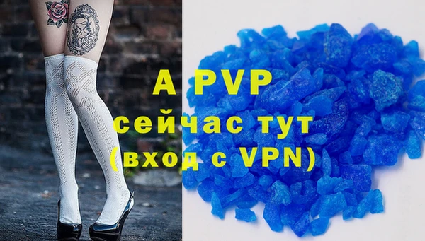 дмт Магас