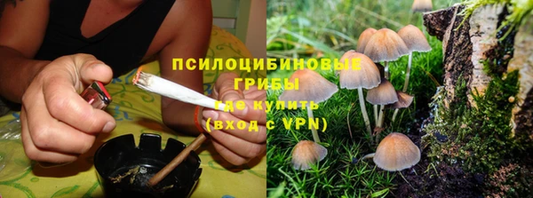 дмт Магадан