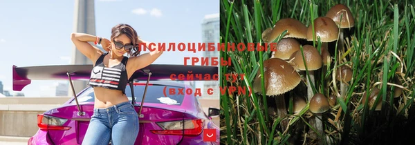 дмт Магас