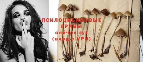 экстази Майский